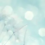 Abstract Dandelion Seed Head with Lights